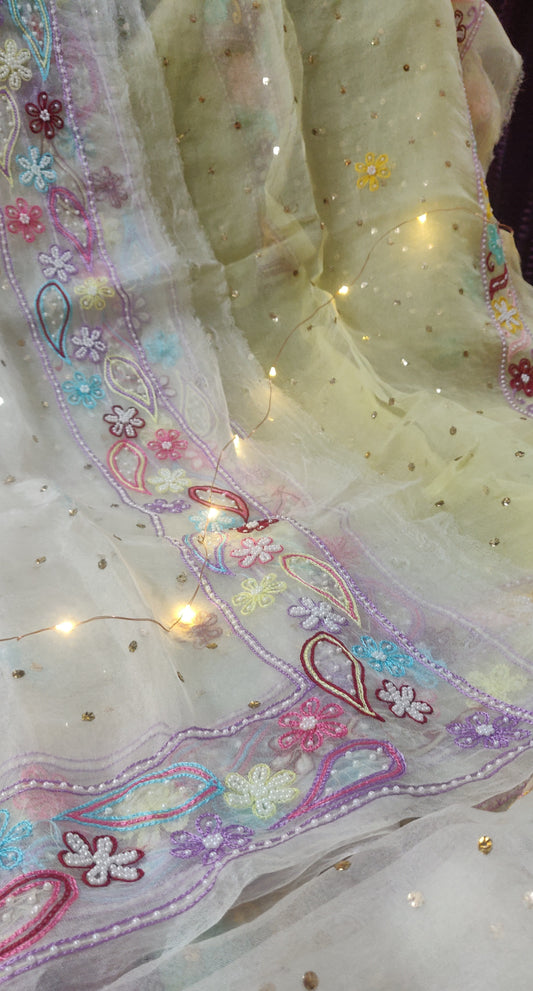 Off white pure Organza allover mukaish and designer border dupatta