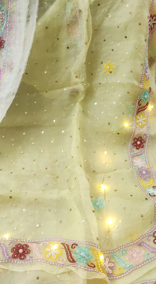 Lemon pure Organza allover mukaish and designer border dupatta